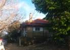 photo1