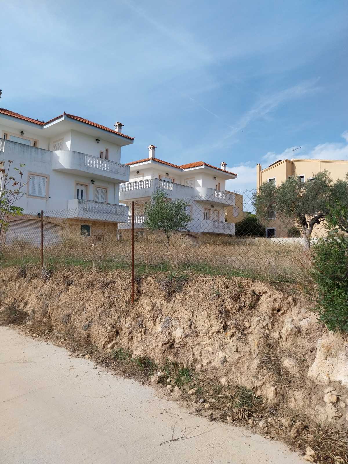 photo0