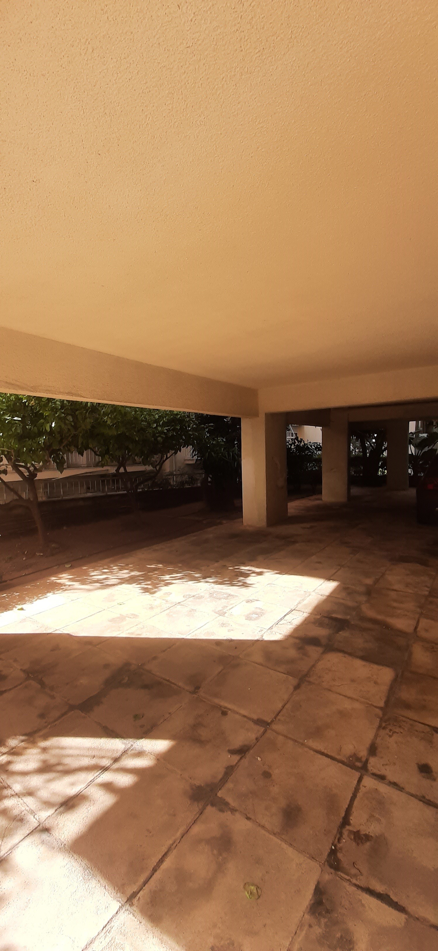 photo3