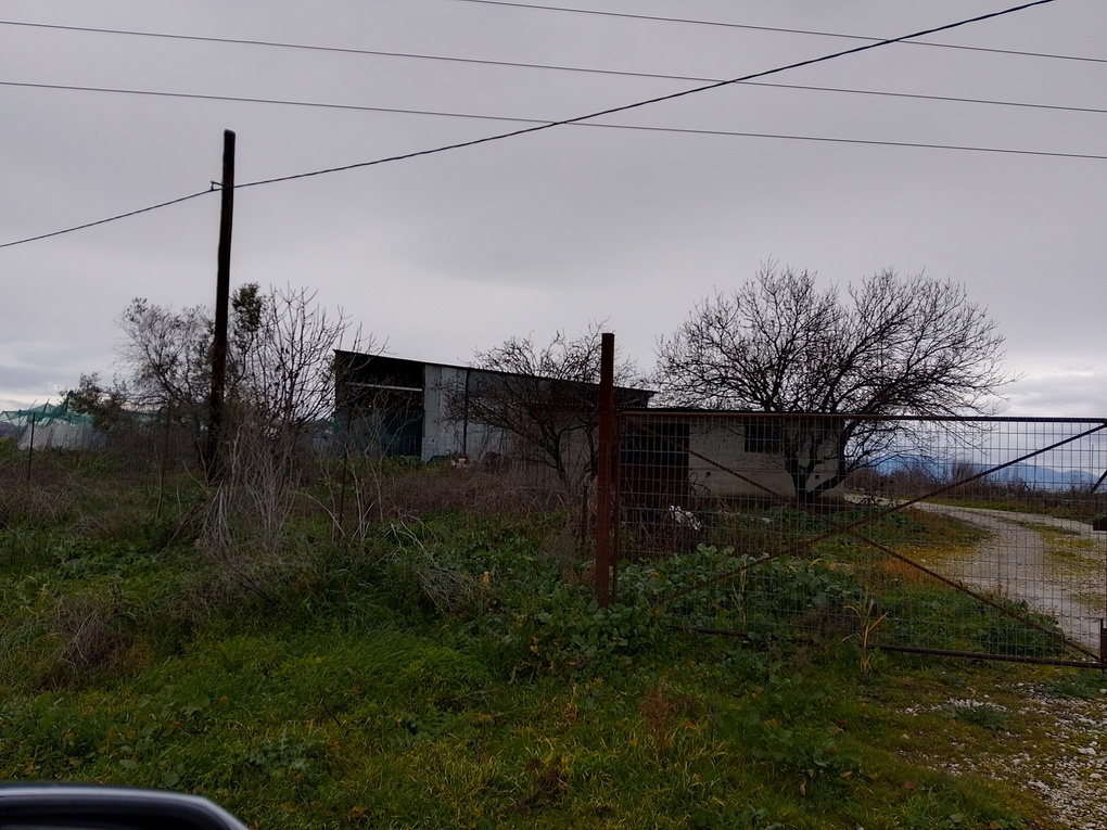 photo1