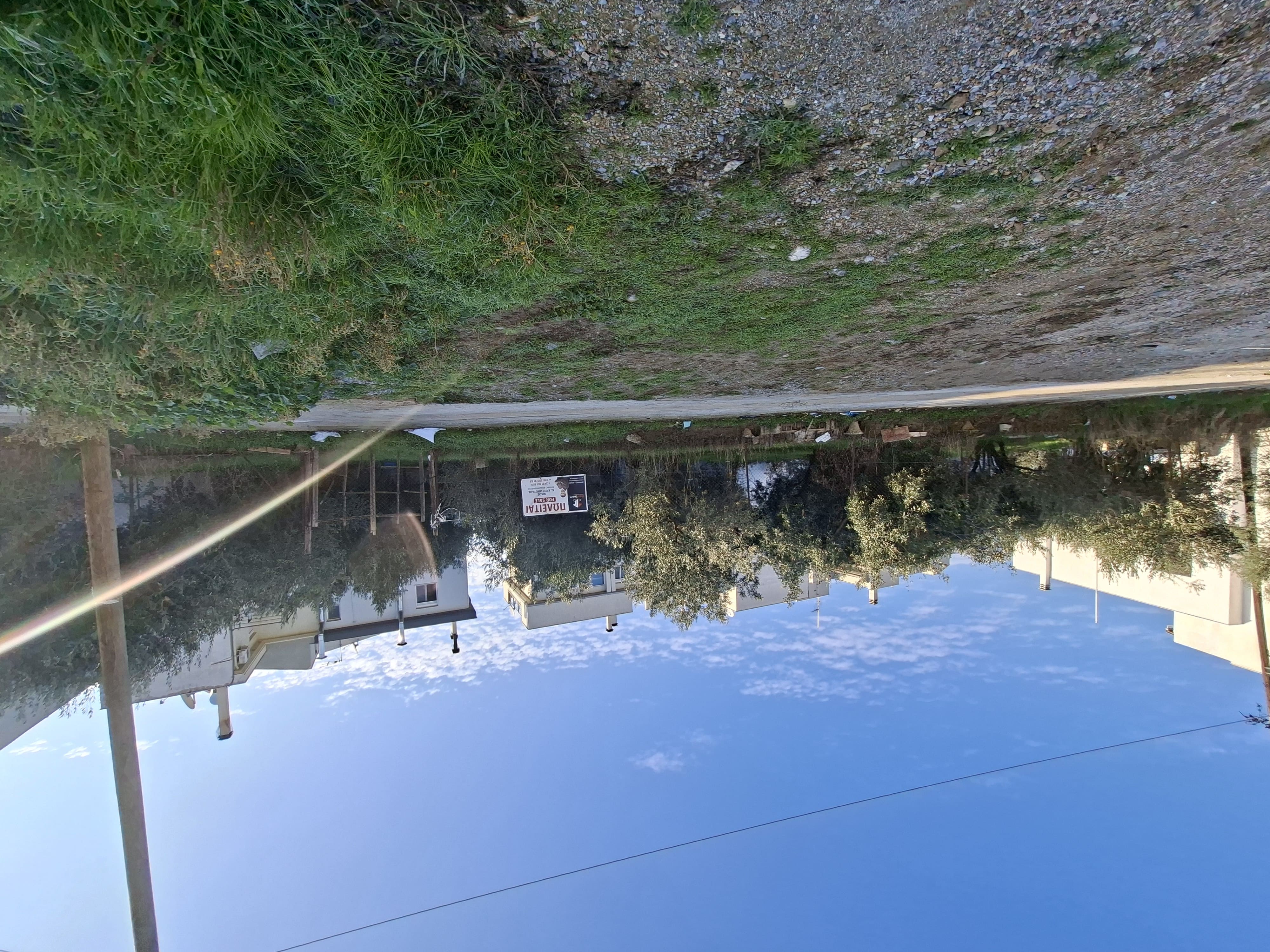 photo1