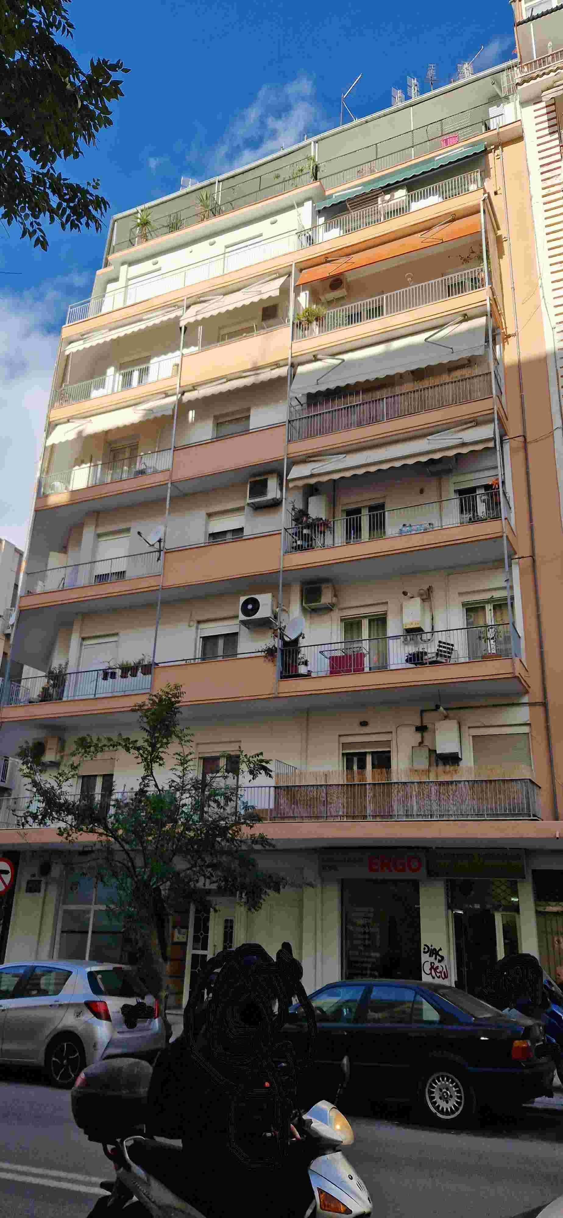 photo1
