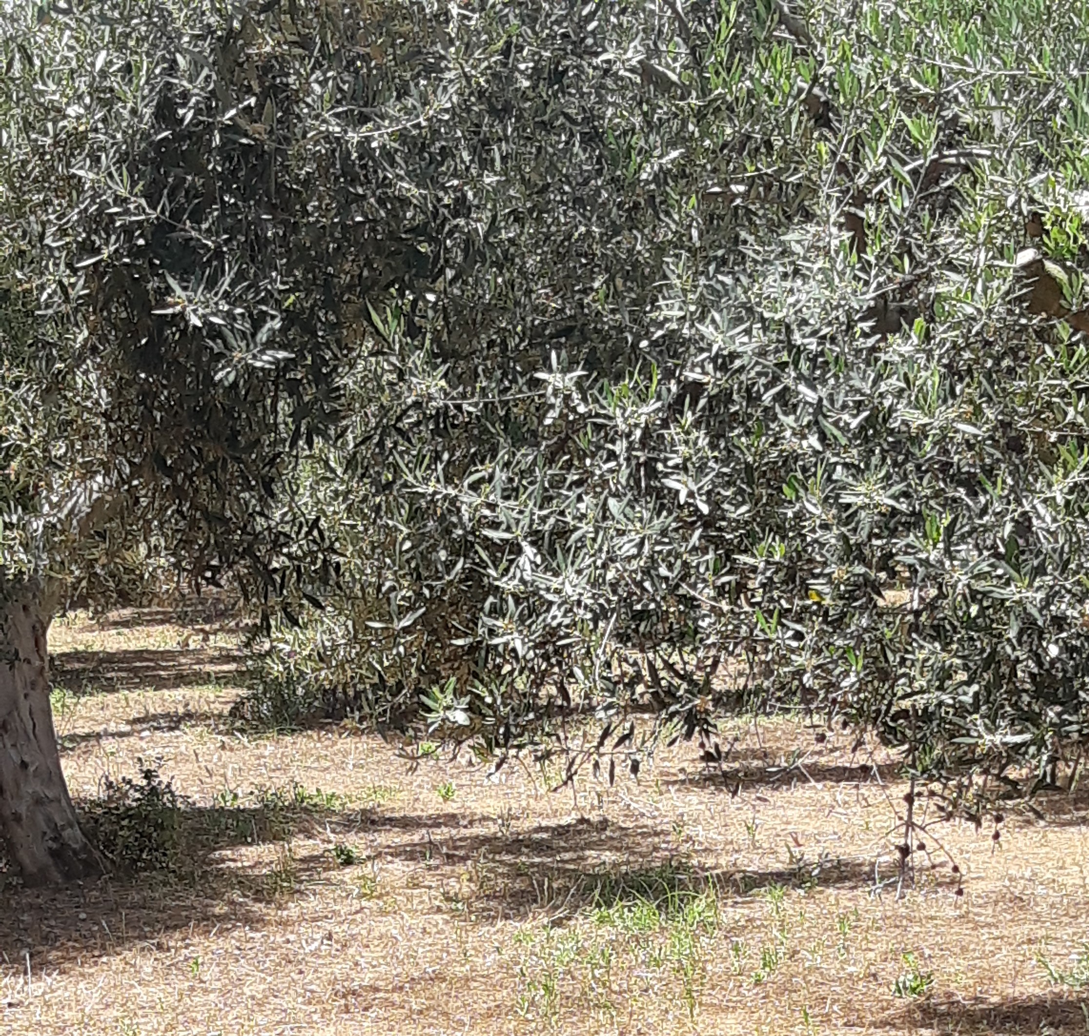 photo0
