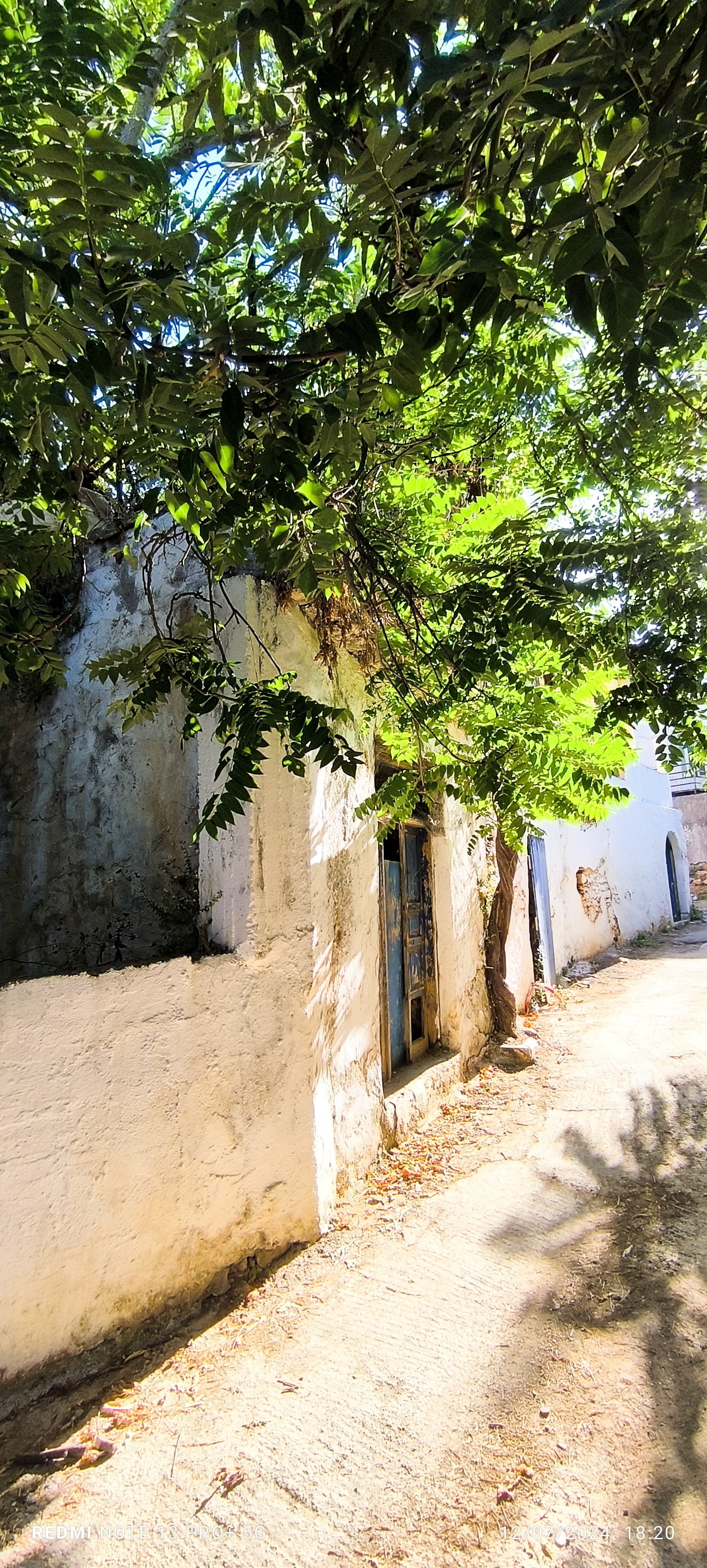 photo5