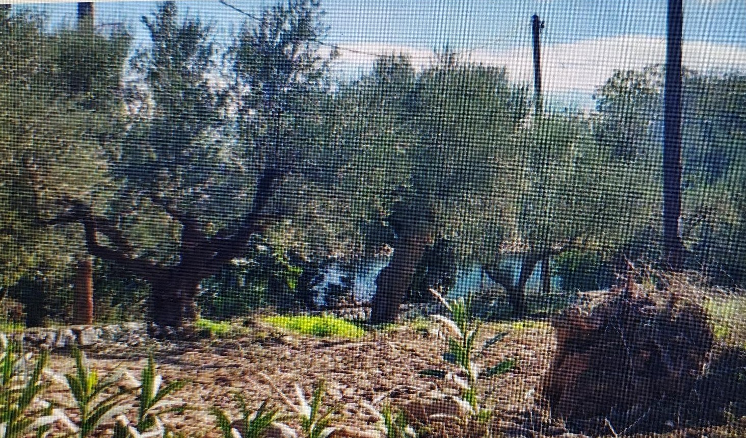 photo1