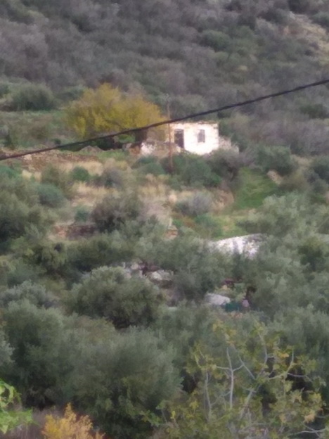 photo0