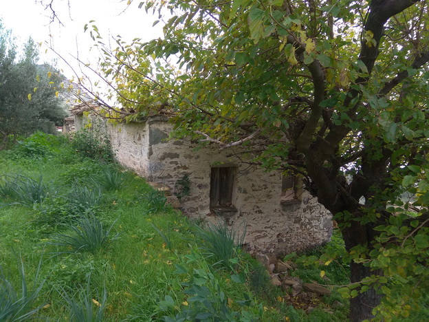 photo1