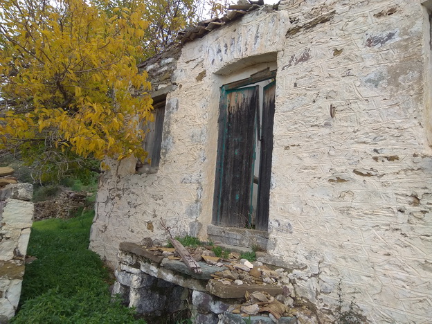 photo2