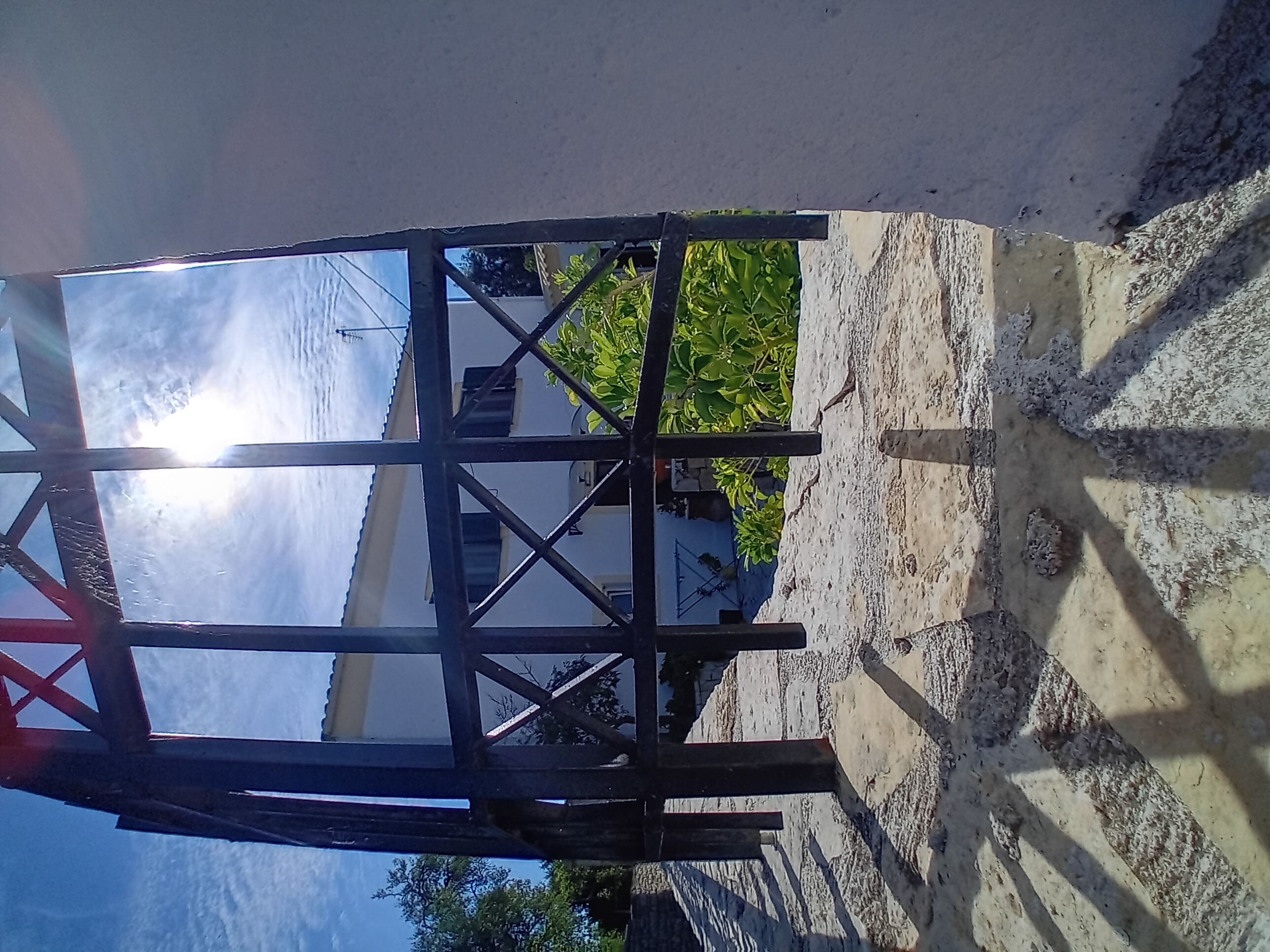 photo1