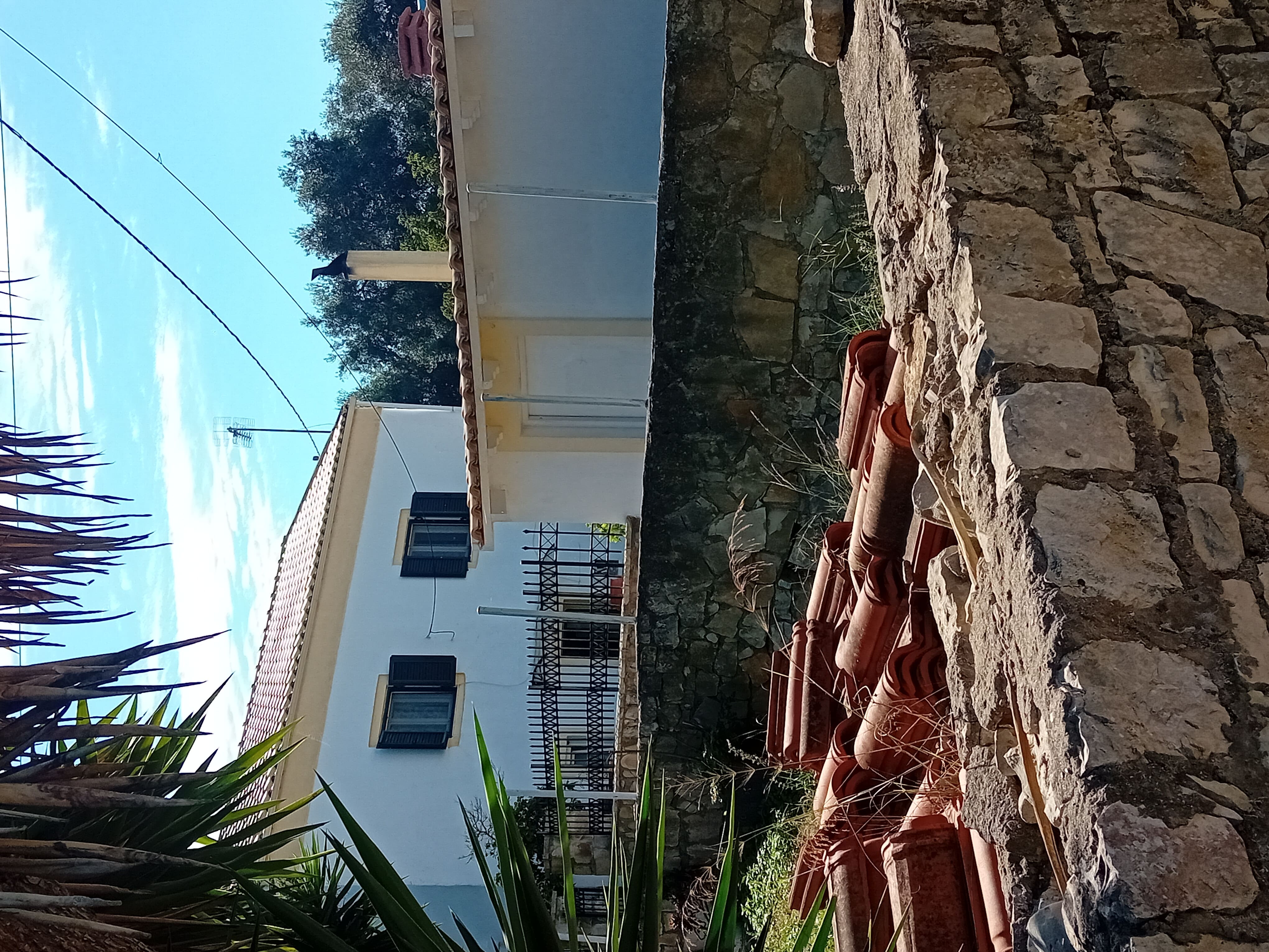 photo2
