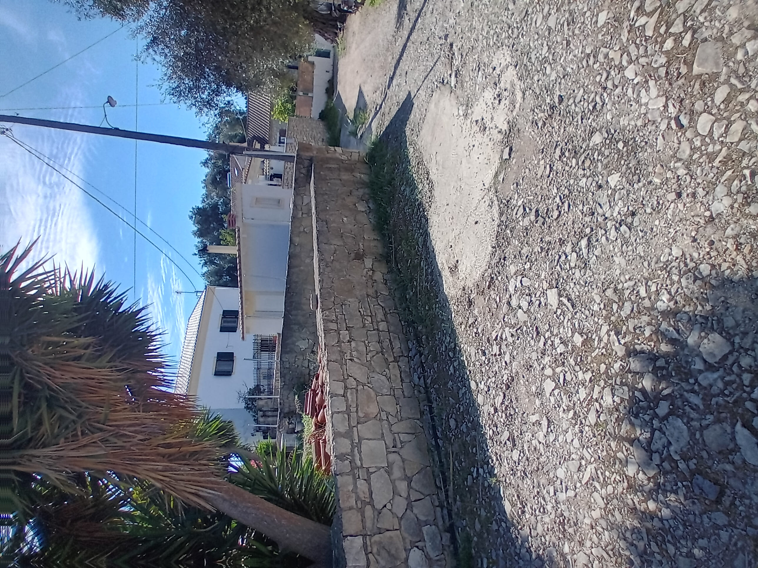 photo3