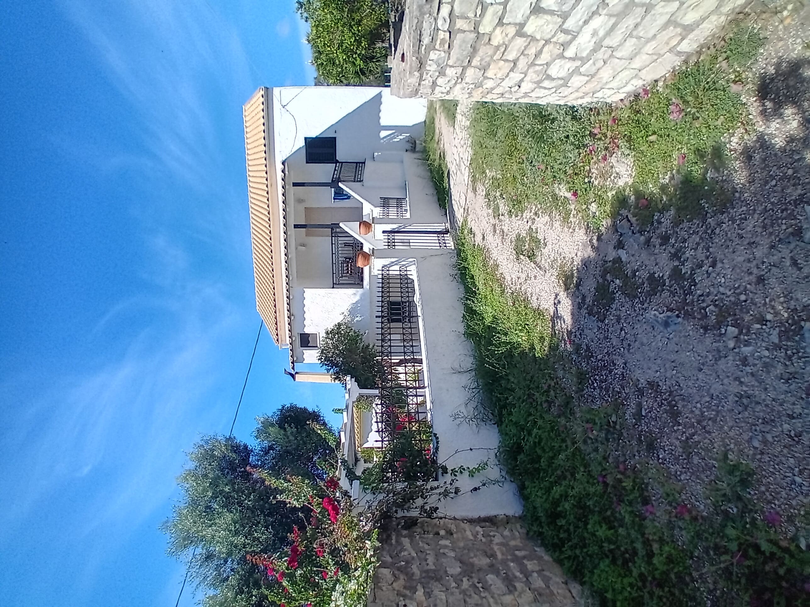 photo4