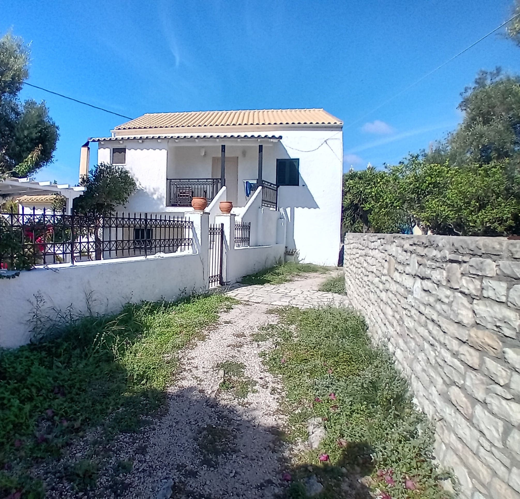 photo5