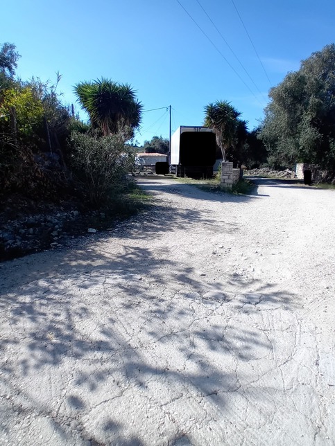 photo2