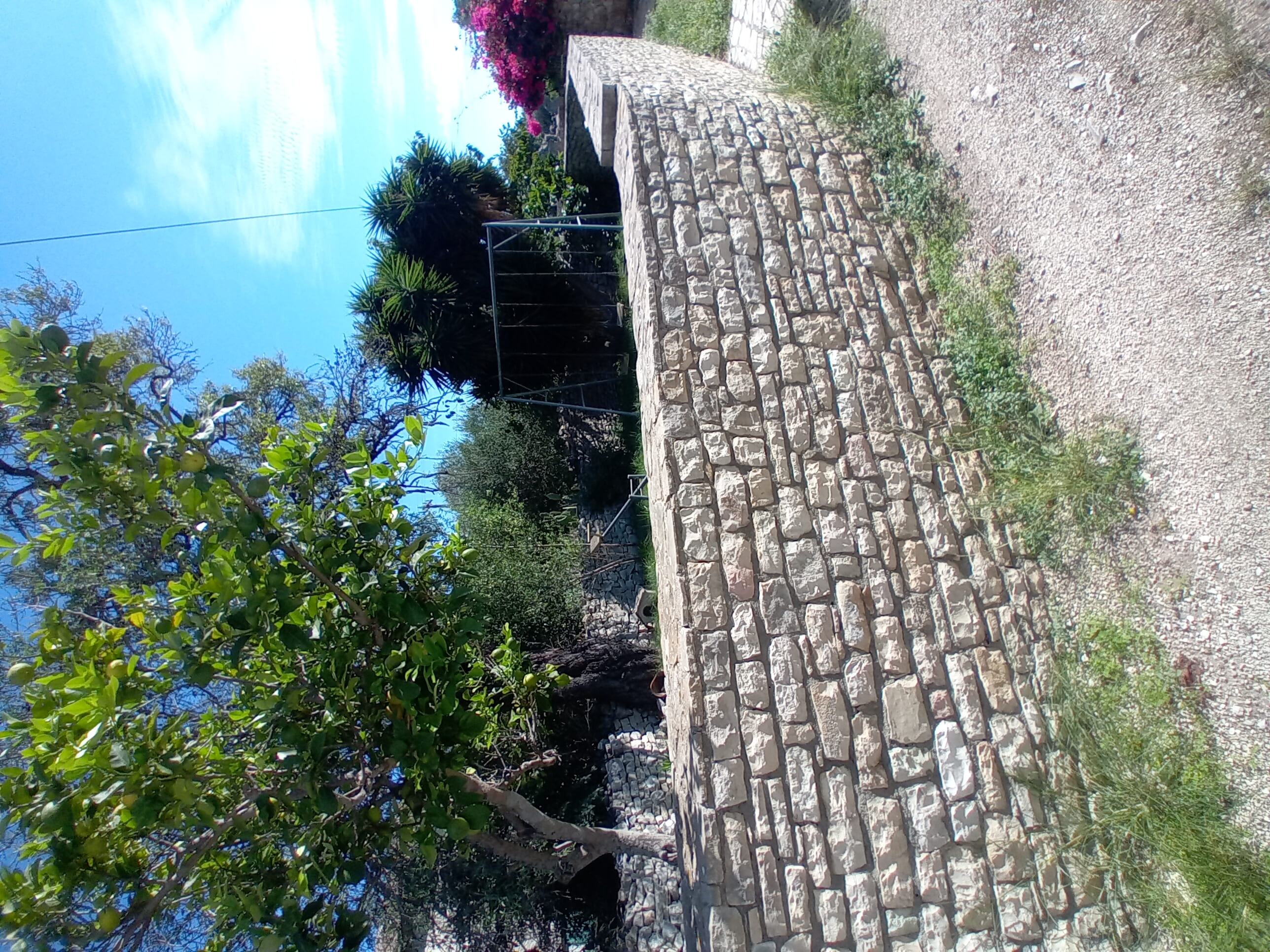 photo1