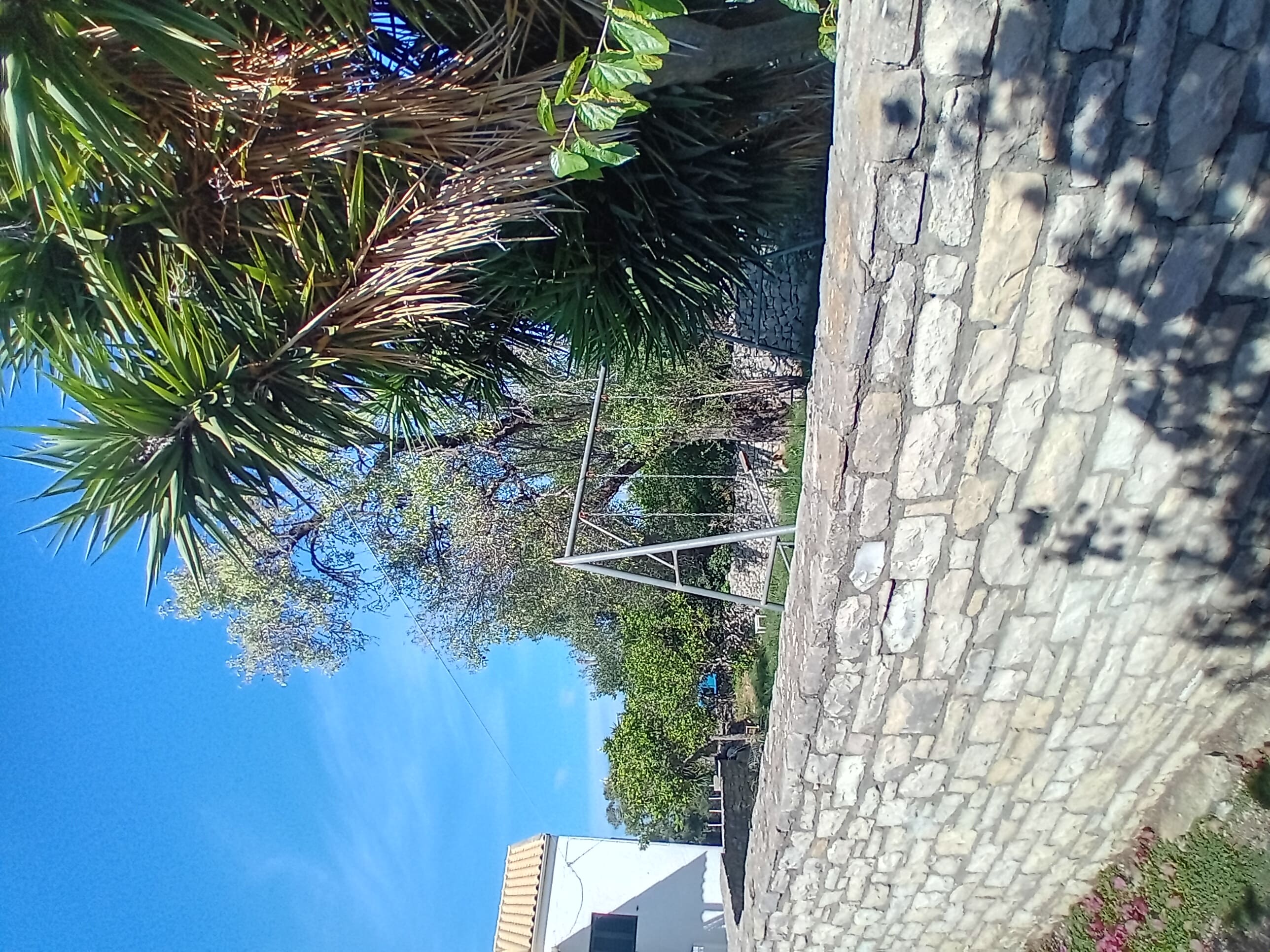 photo2