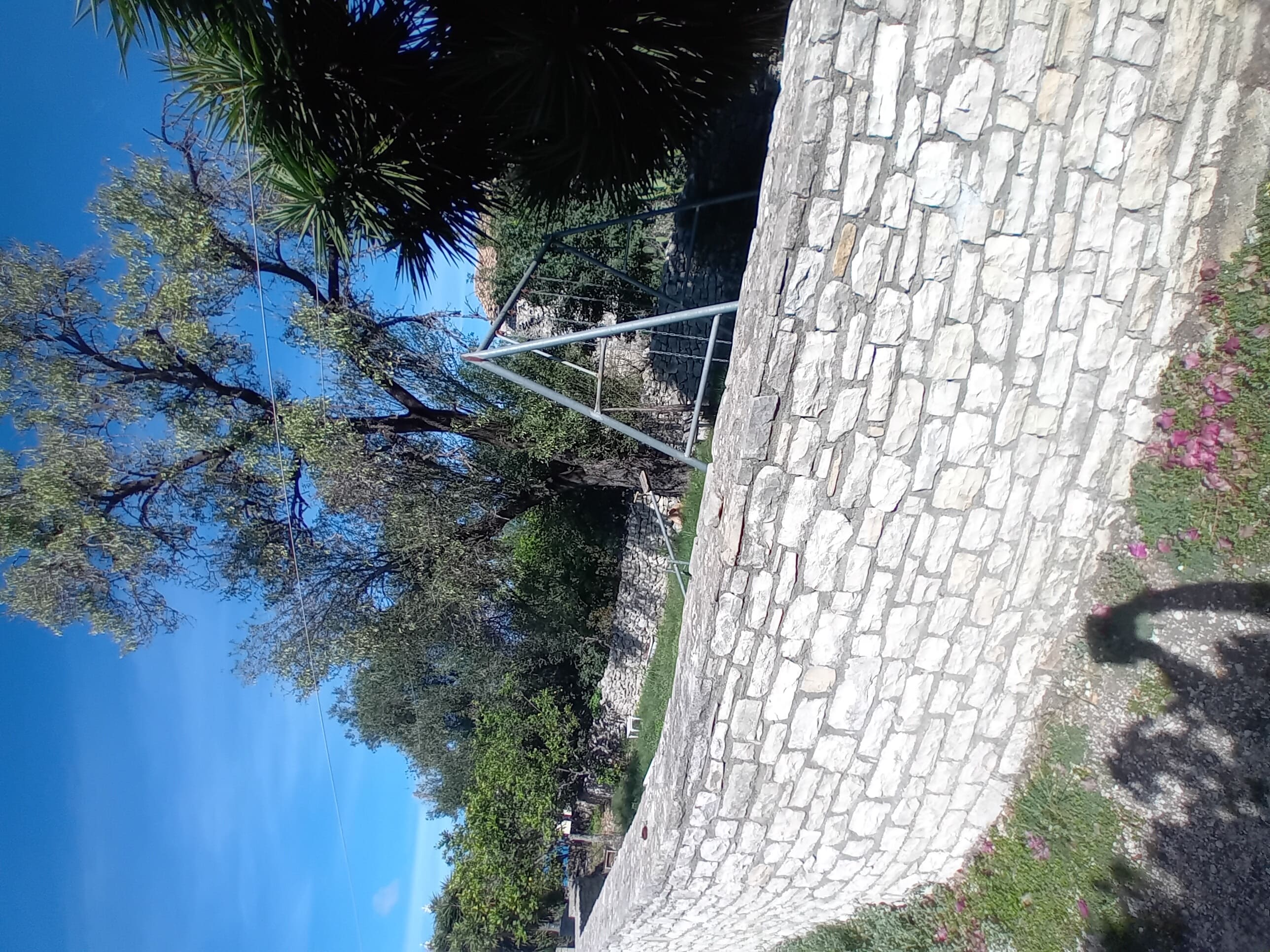 photo3