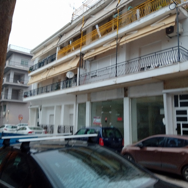 photo1