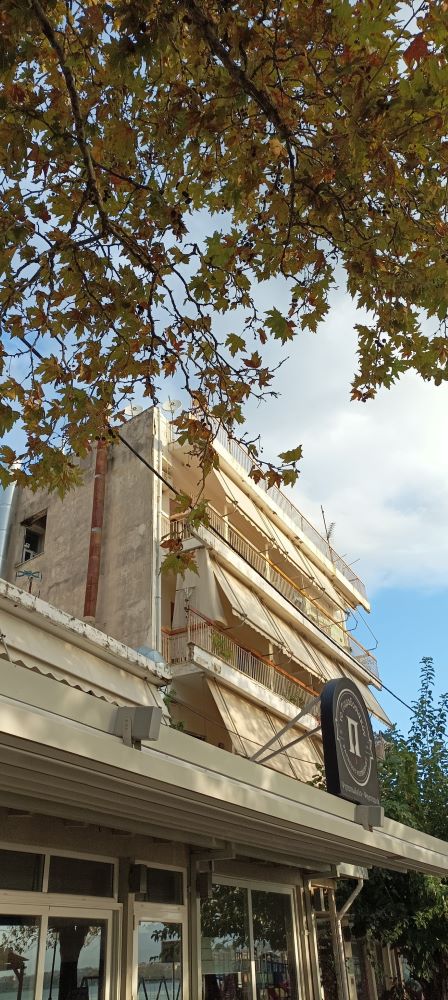 photo1