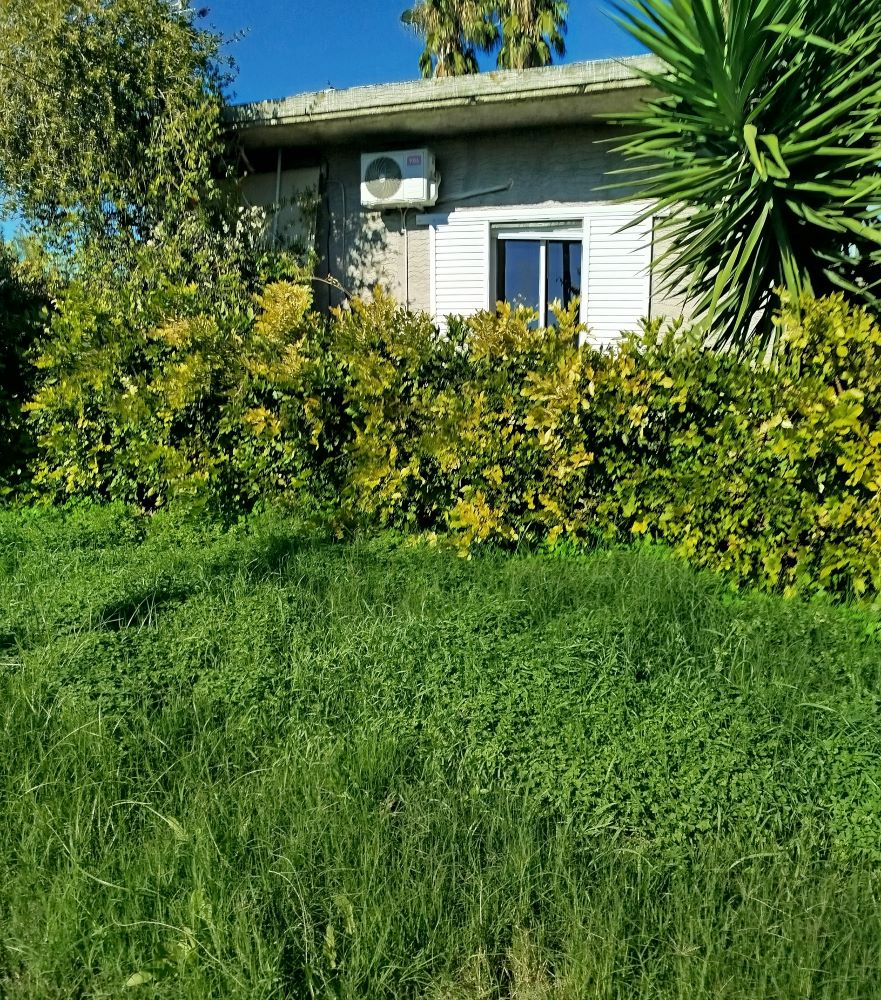 photo1