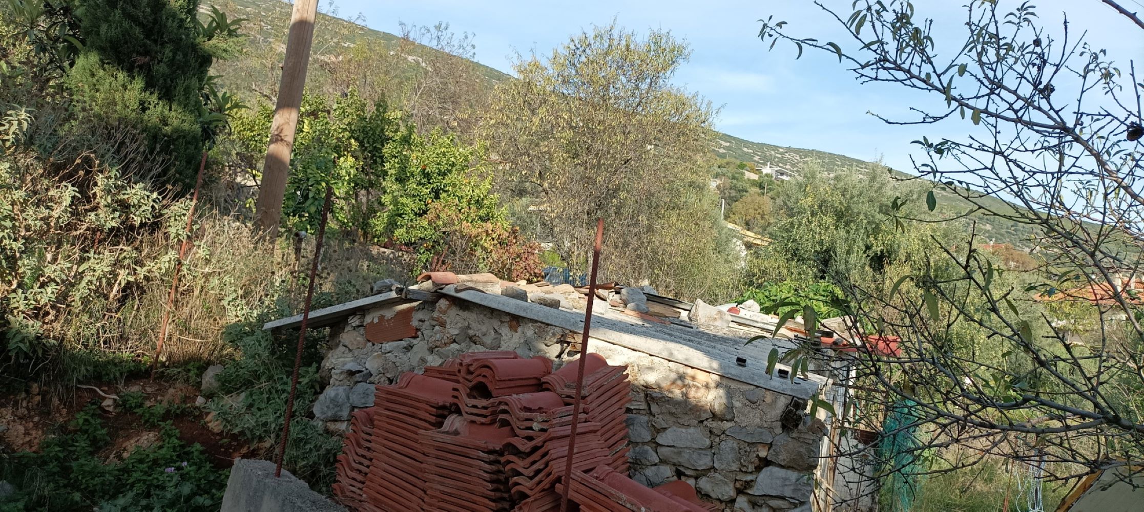 photo2