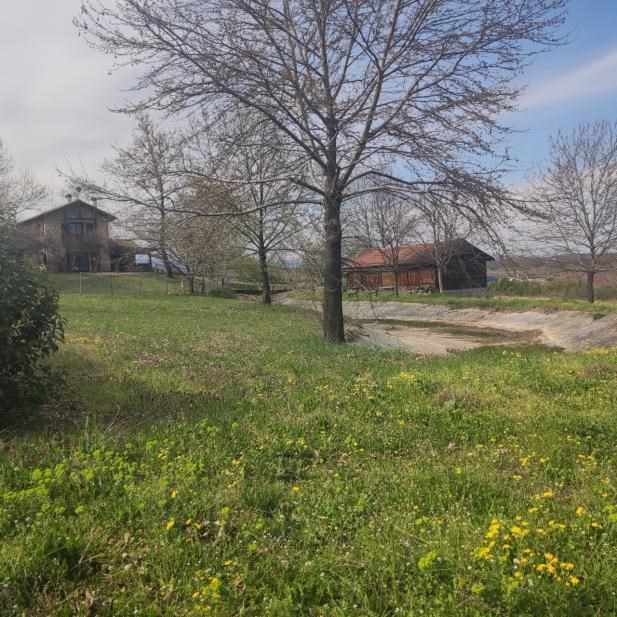photo0