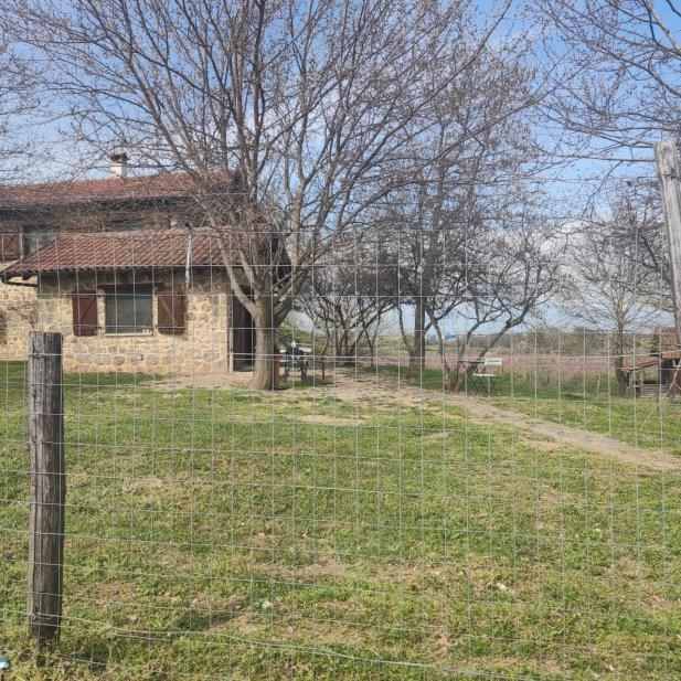 photo3