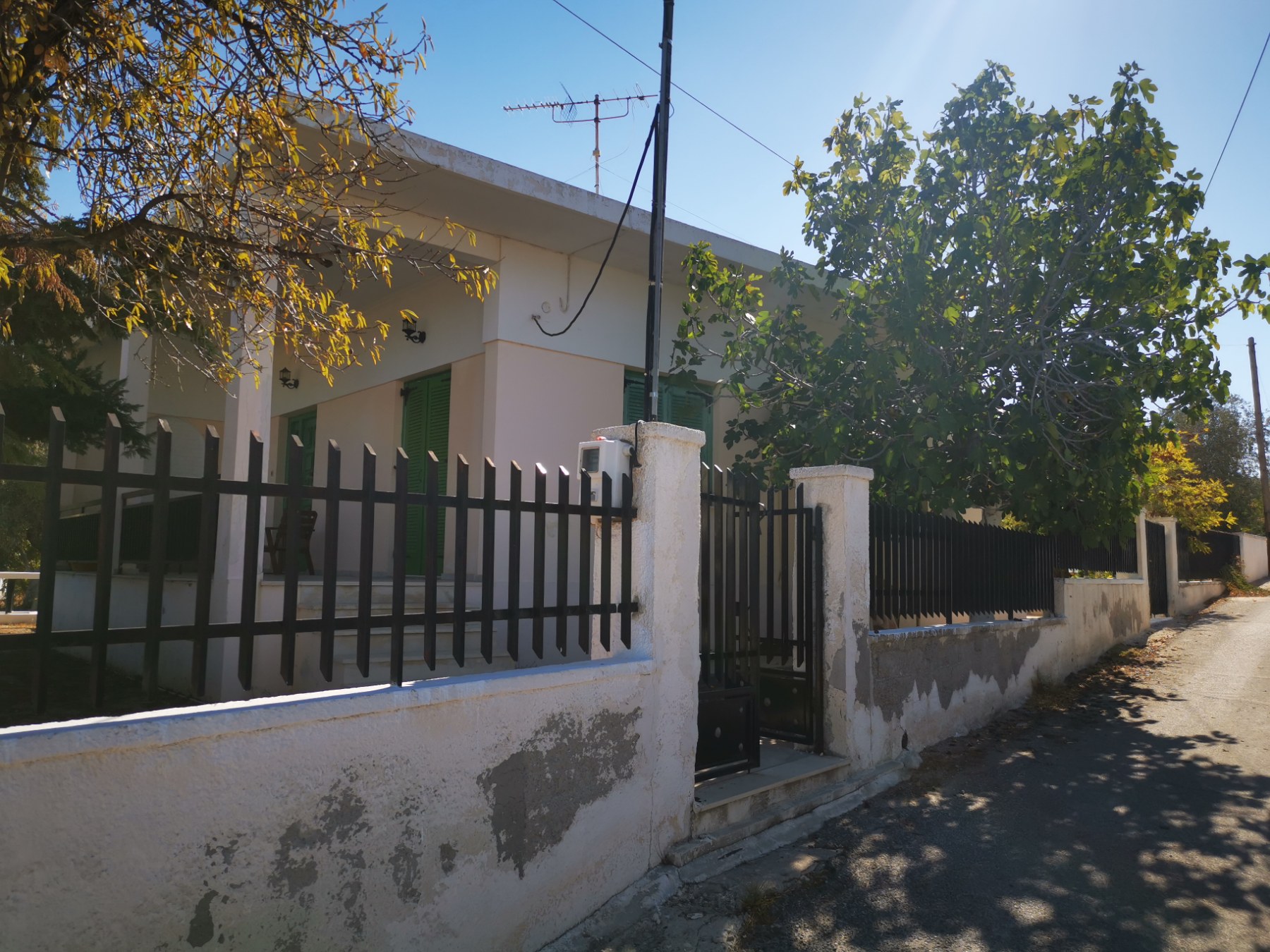 photo1