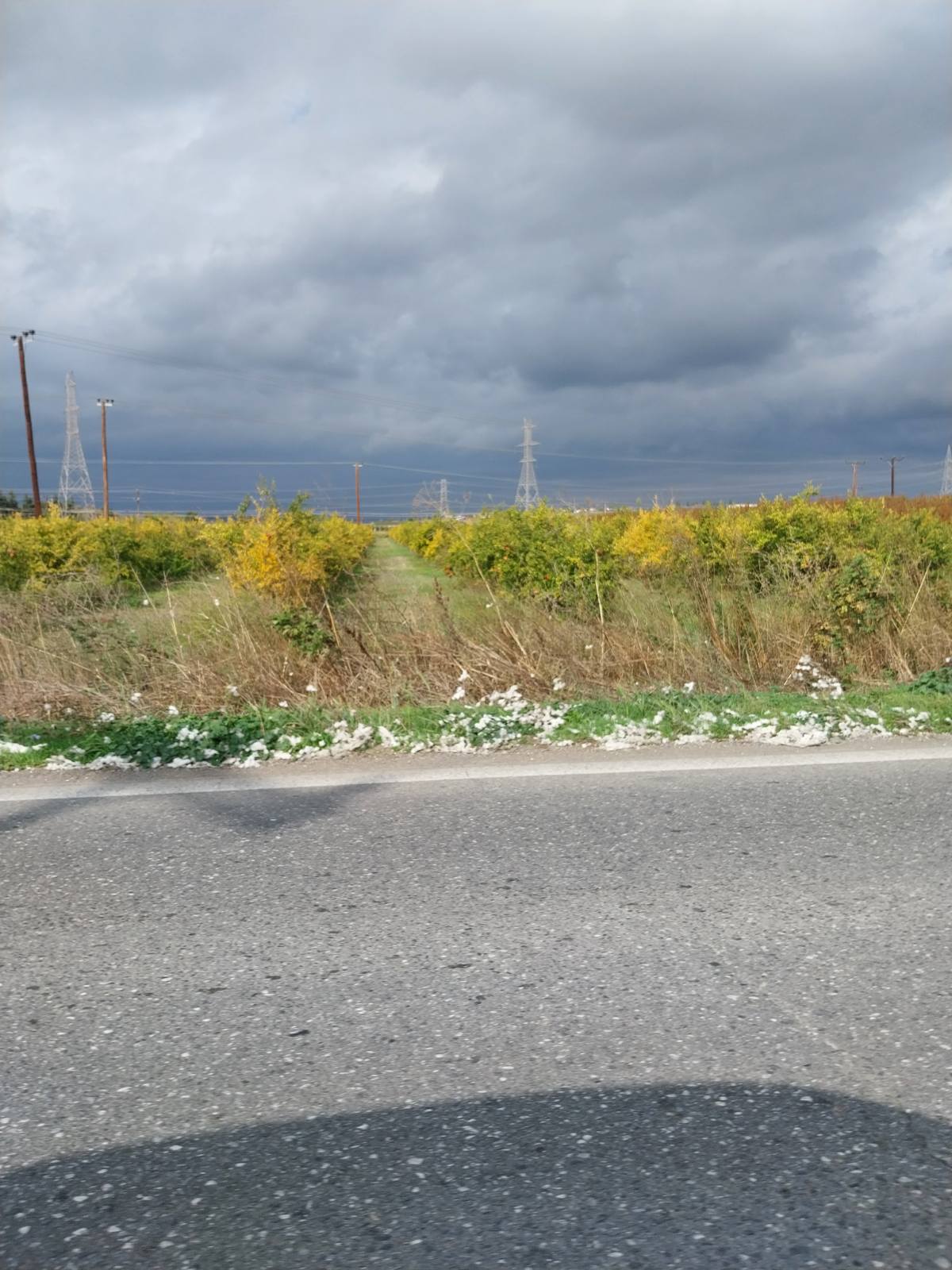 Αγροτεμάχιο 14518 τ.μ. σε πλειστηριασμό Δήμος Πέλλας