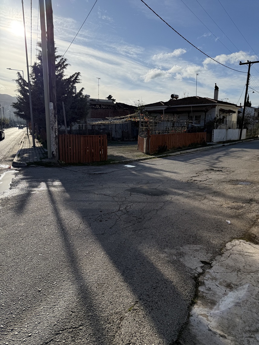 photo1