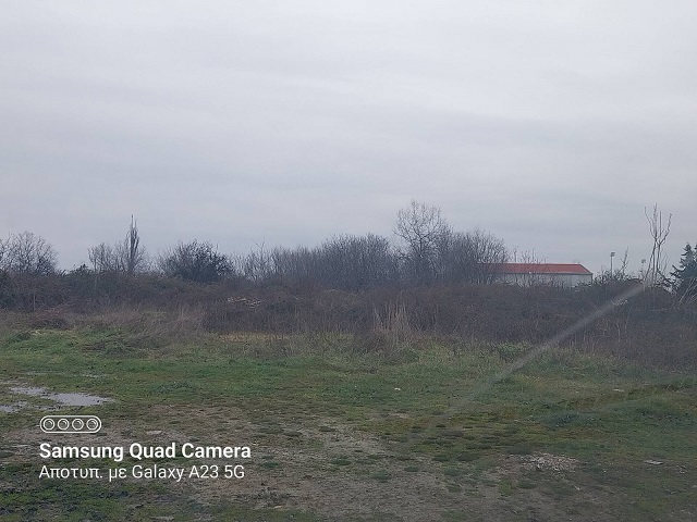 photo1