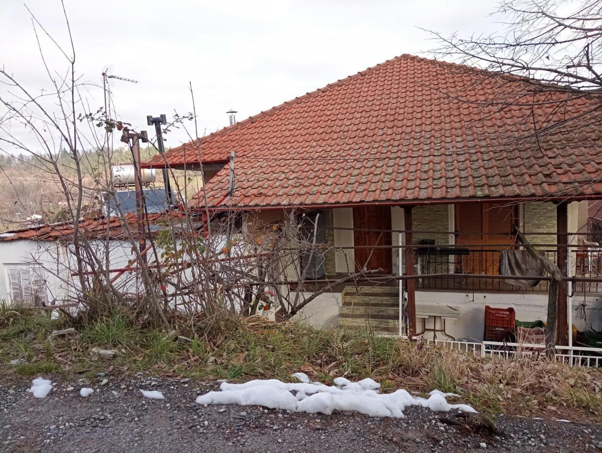 photo1