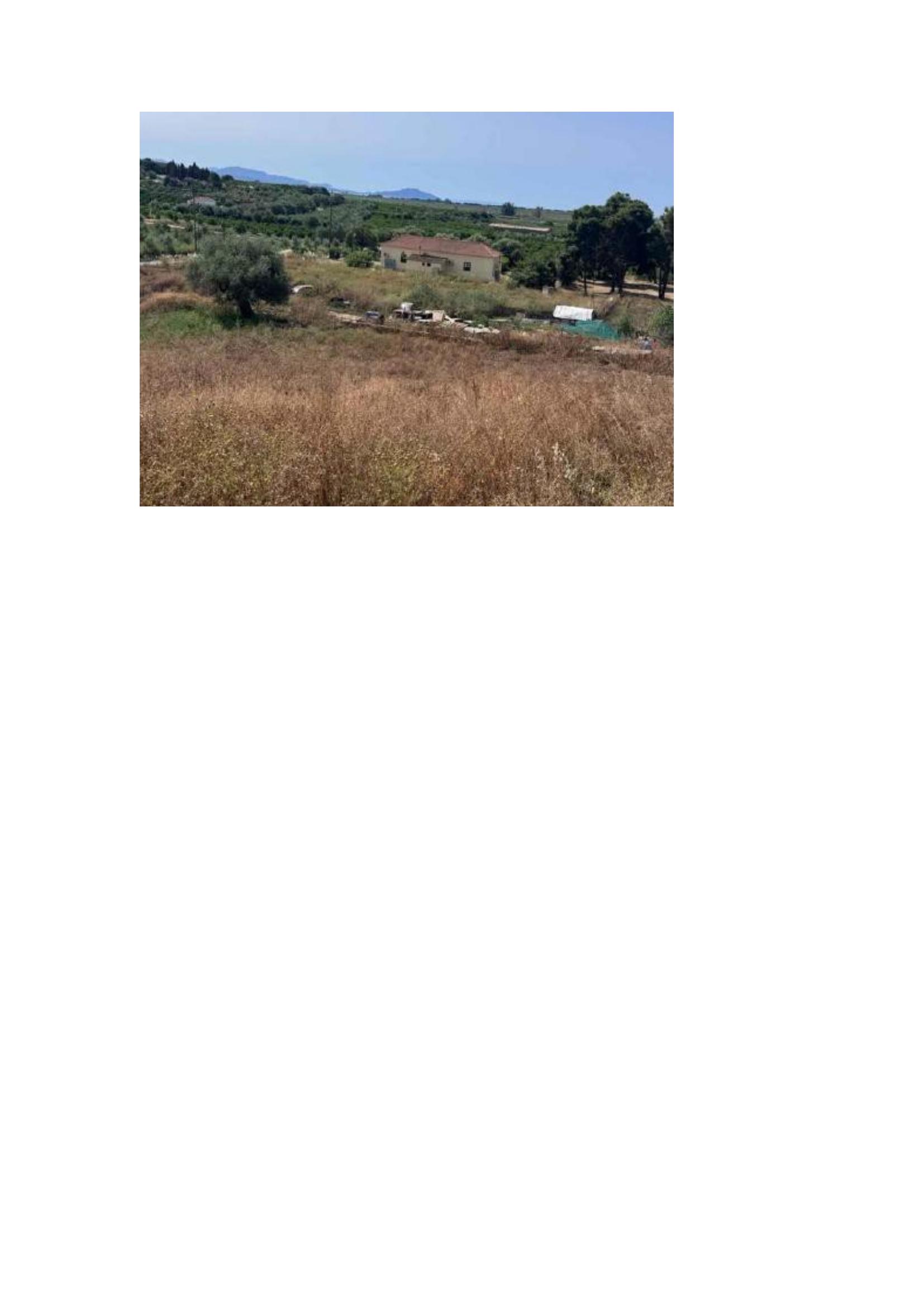 photo0