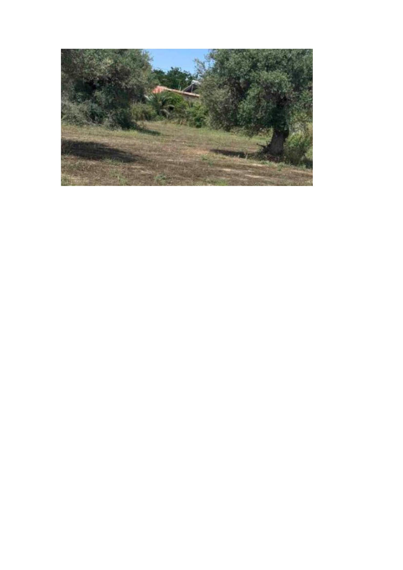 photo1