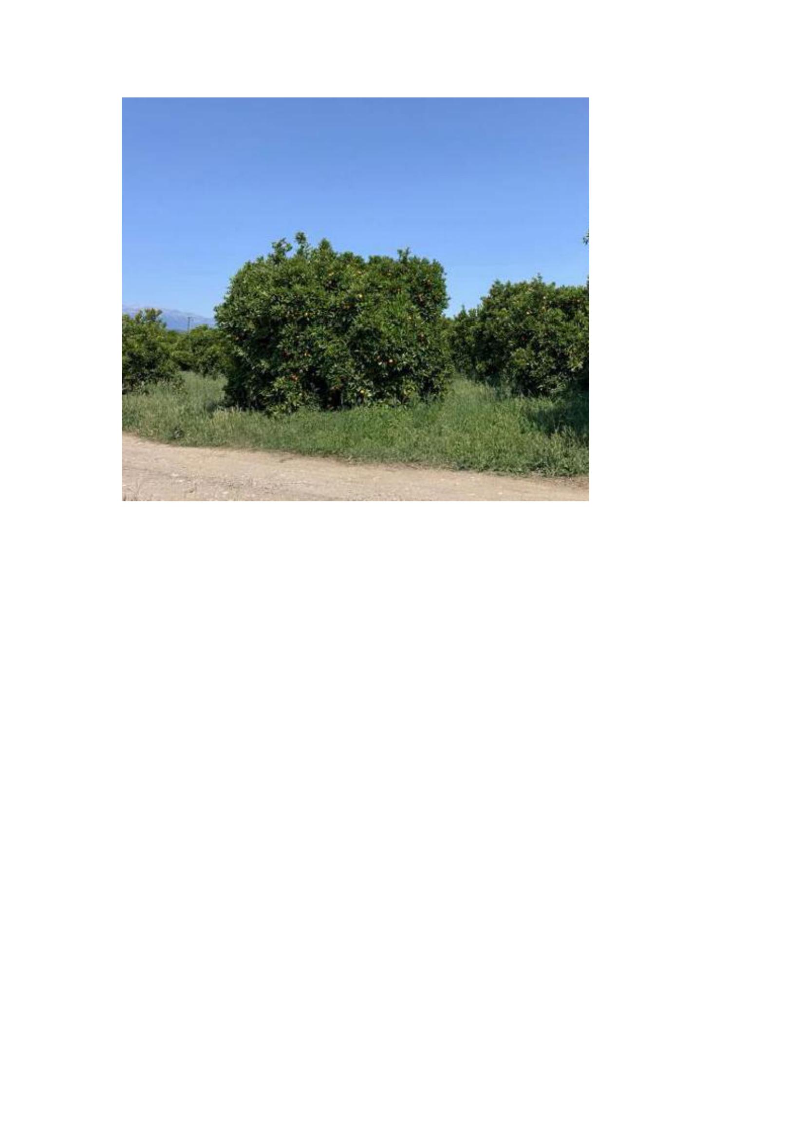photo2