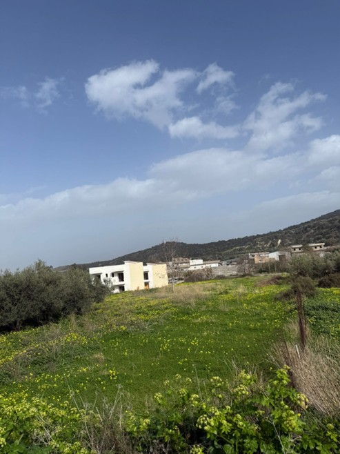 Οικόπεδο 445.85 τ.μ. σε πλειστηριασμό Δήμος Μυλοποτάμου
