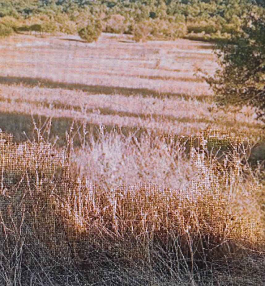 photo0