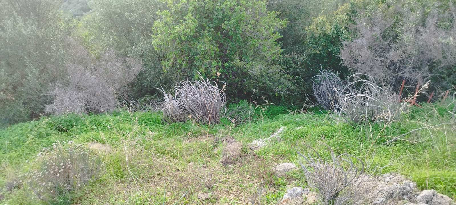 photo0