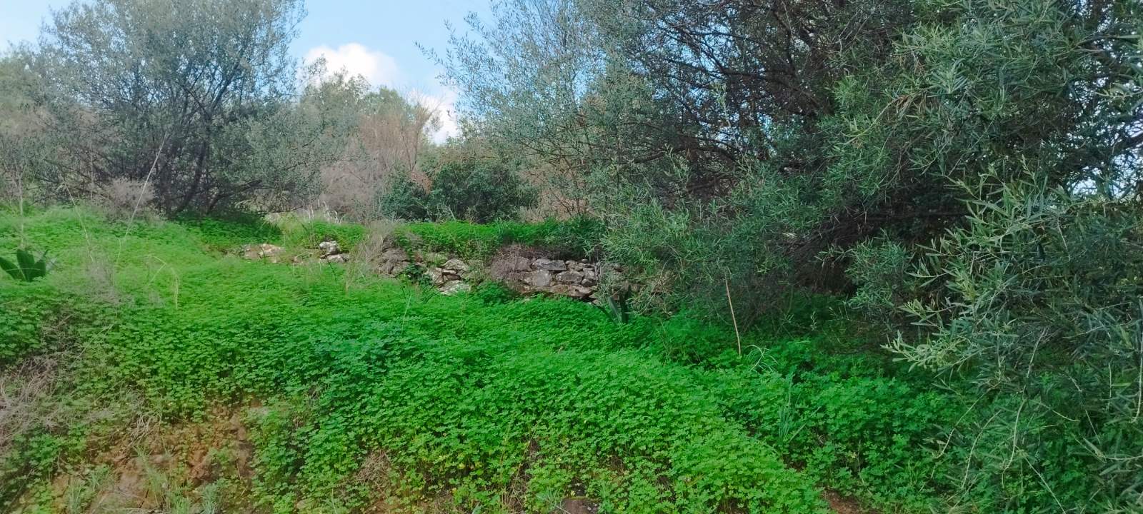 photo6