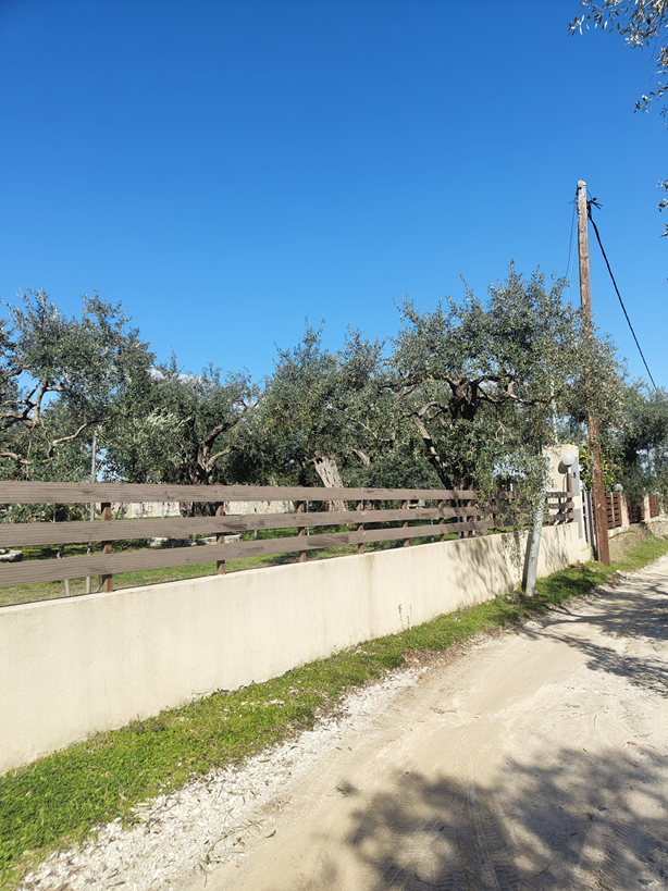 photo1