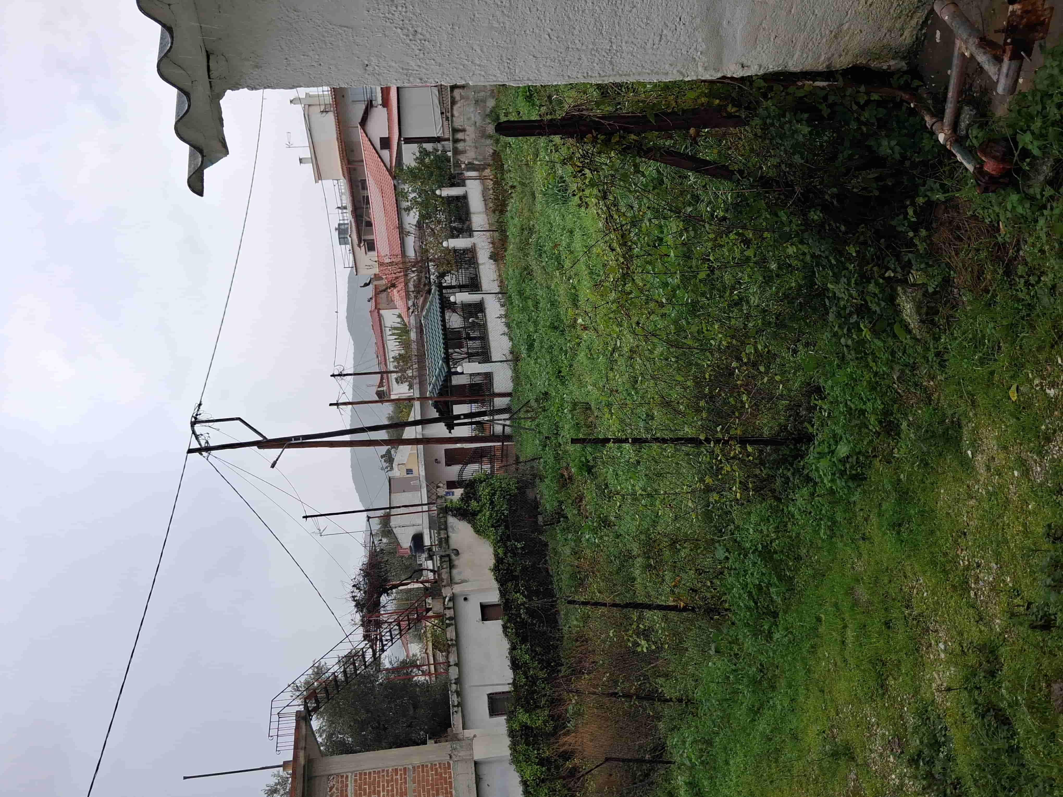photo1