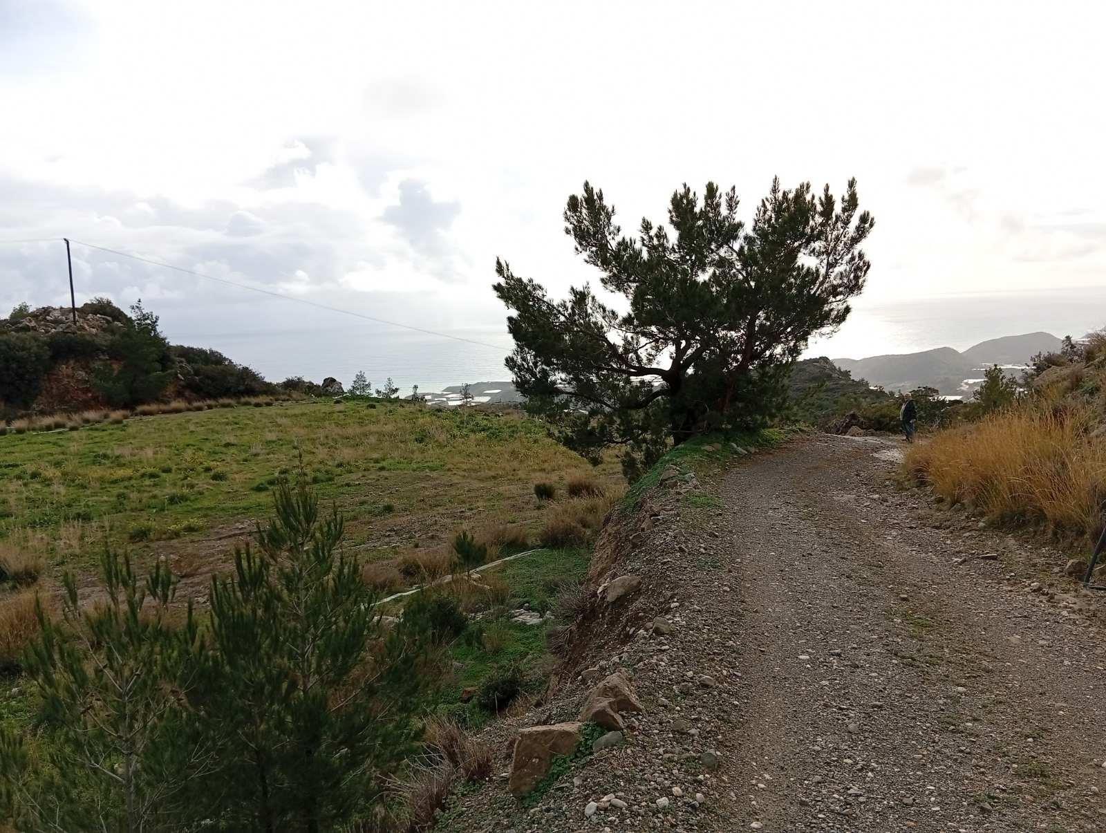 Αγροτεμάχιο 4437.32 τ.μ. σε πλειστηριασμό Δήμος Ιεράπετρας