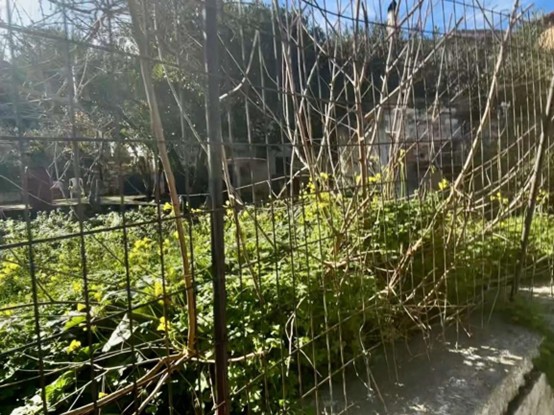 photo0