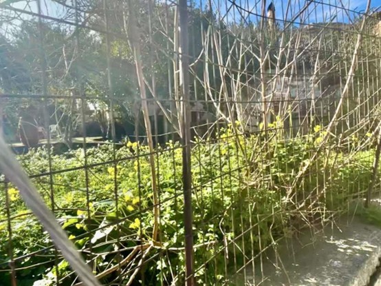 photo1