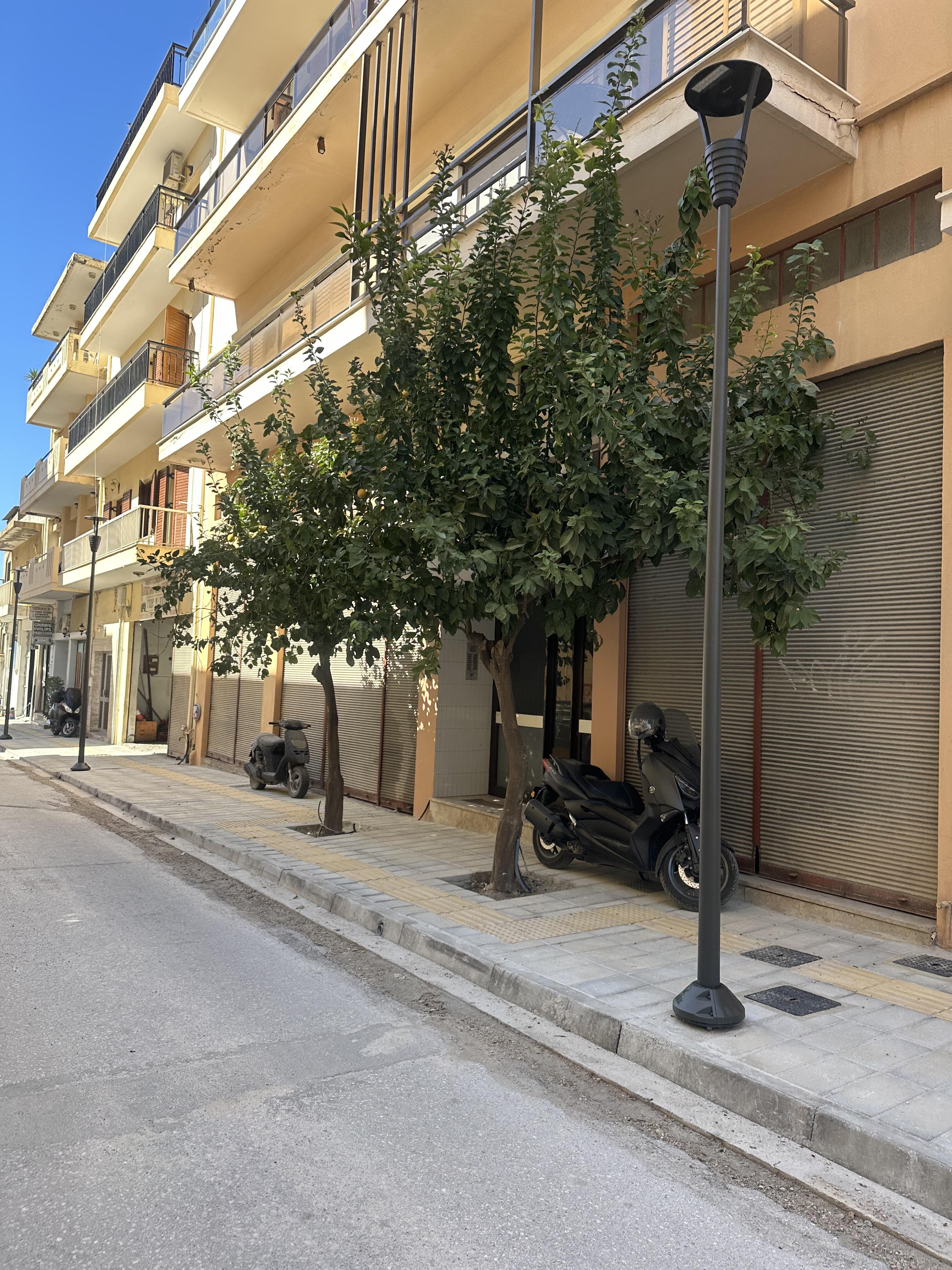 photo2