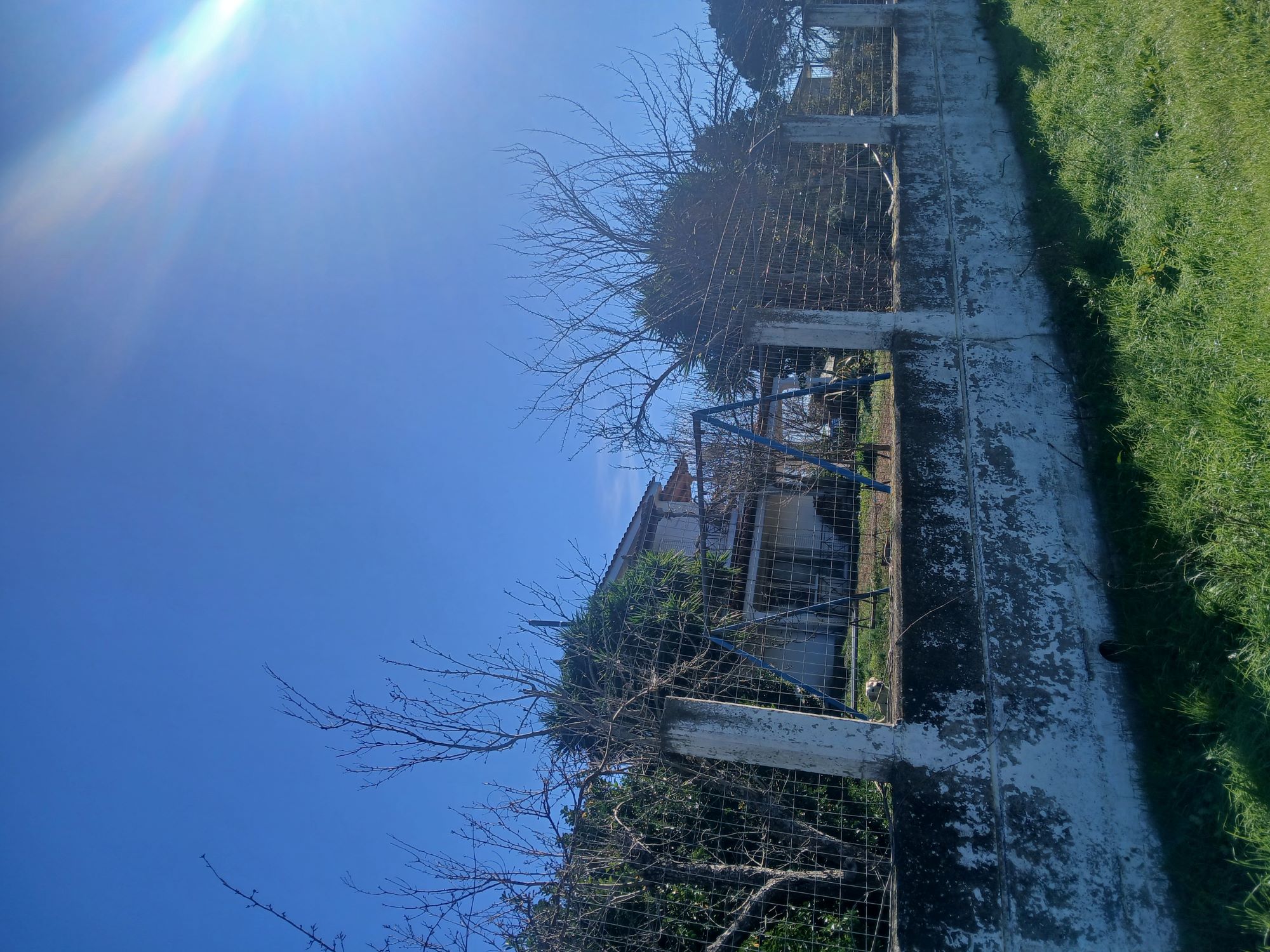 photo4