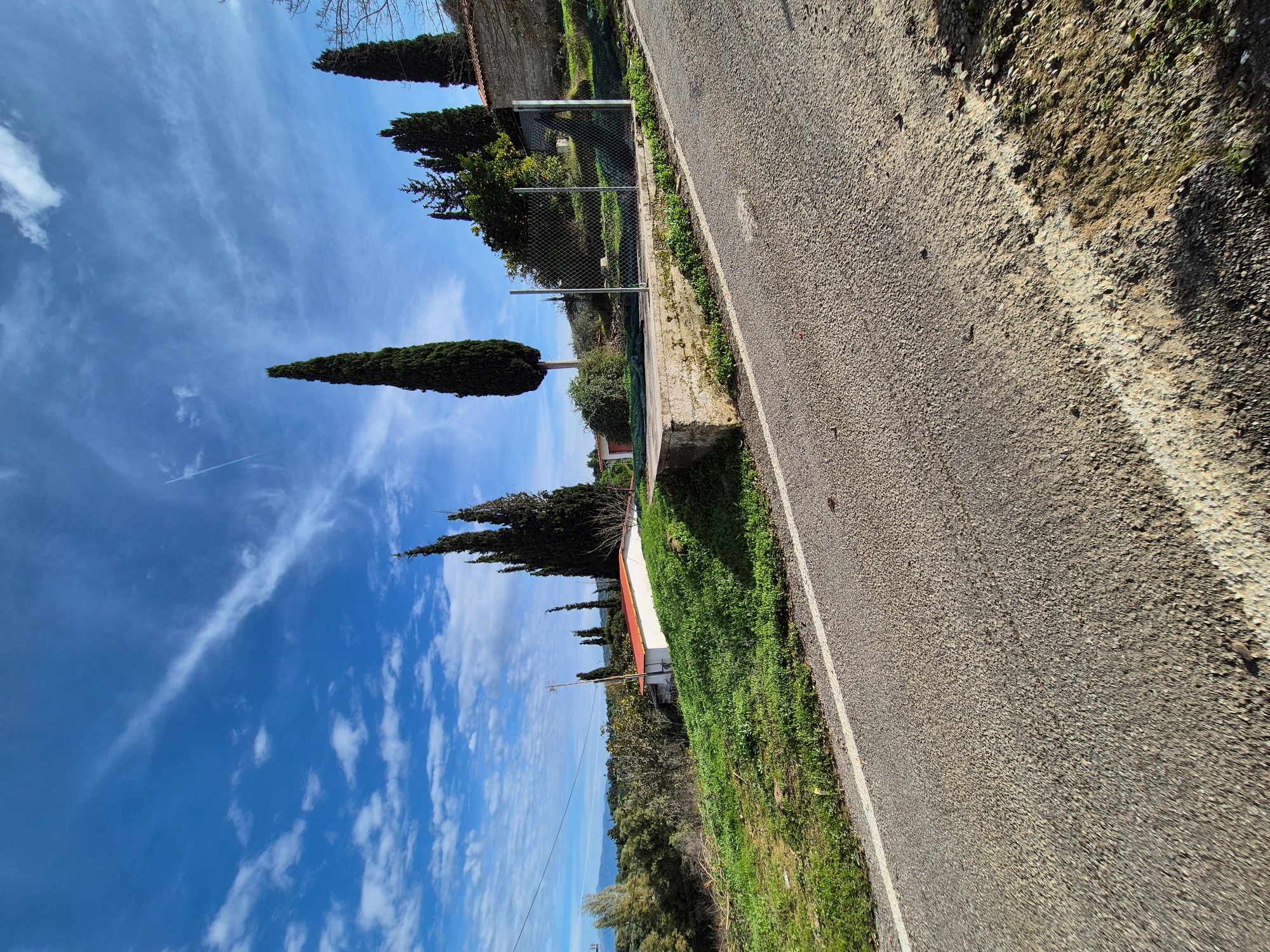photo1