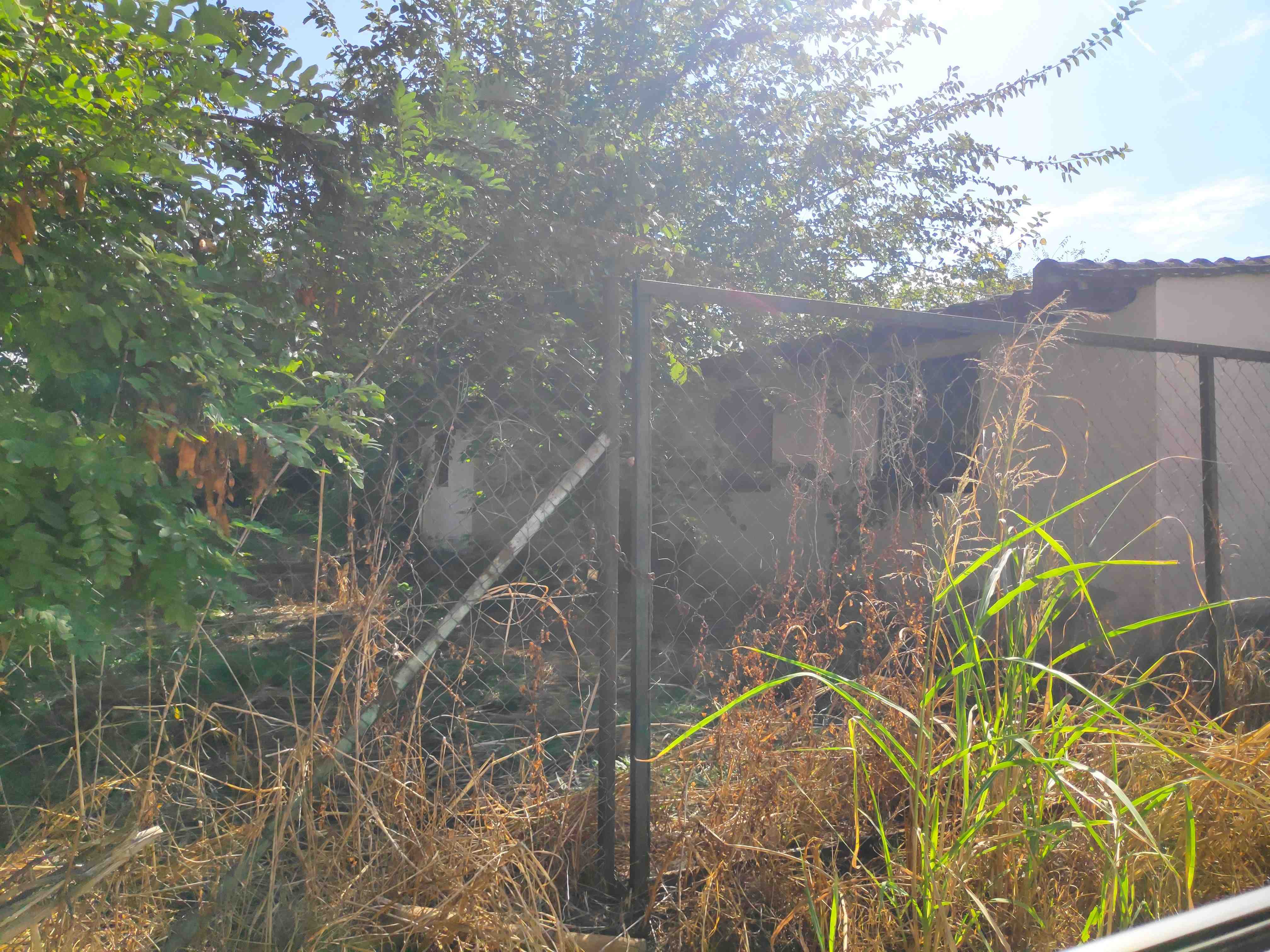 photo1