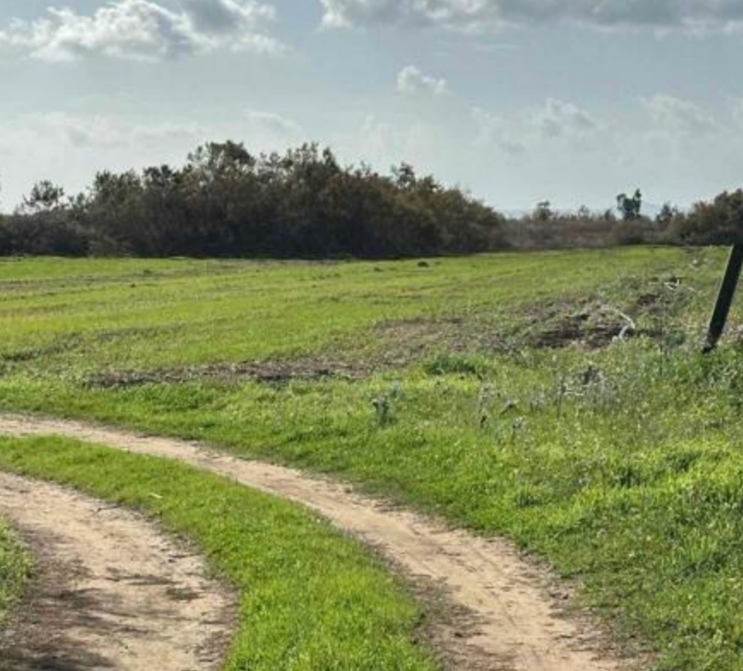 Αγροτεμάχιο 3816 τ.μ. σε πλειστηριασμό Δήμος Ανδραβίδας - Κυλλήνης