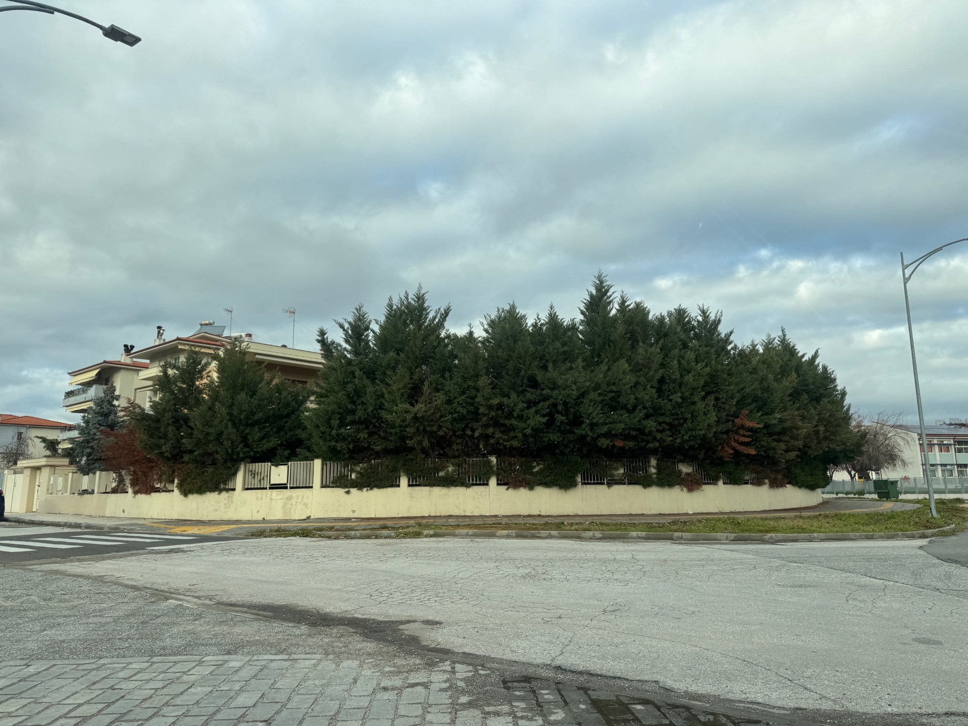 photo3